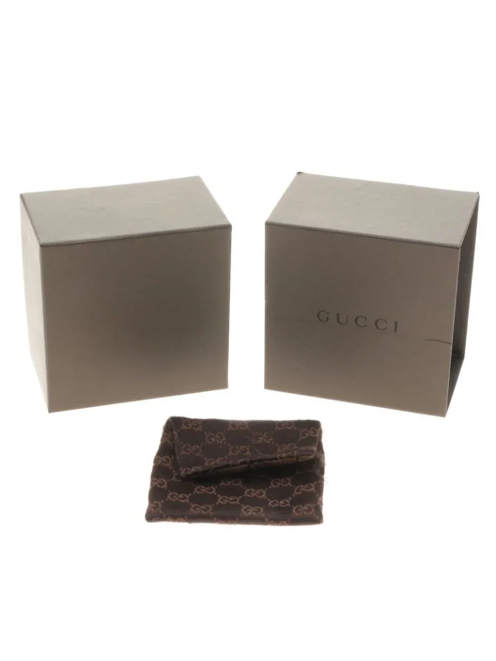 Gucci brand model